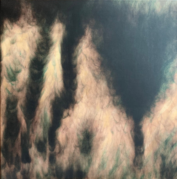 William Basinski – Lamentations (2Lp) 🇺🇸