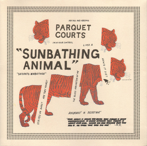 Parquet Courts – Sunbathing Animal 🇺🇸