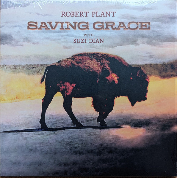 Robert Plant – Saving Grace (140G) 🇺🇸