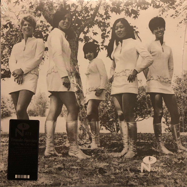 Female Species – Tale of My Lost Love 🇺🇸