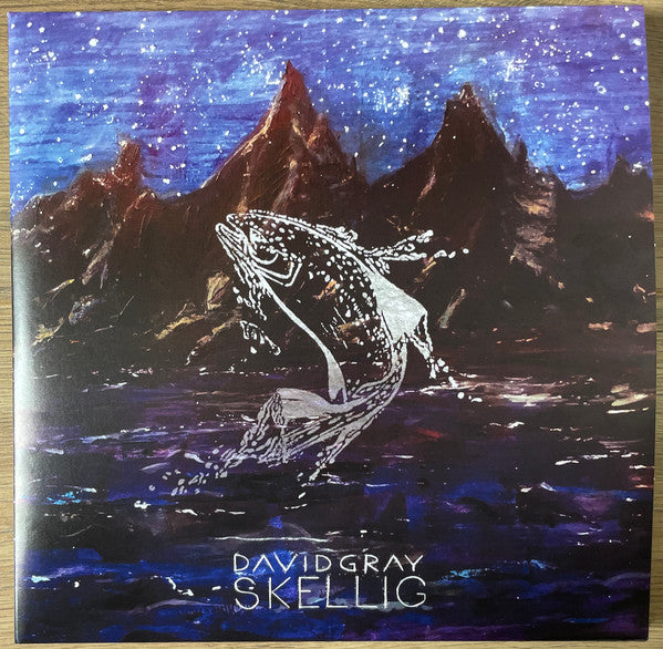 David Gray – Skellig 🇺🇸