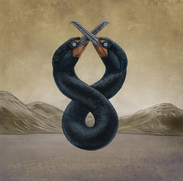 San Fermin – Cormorant I & Ii (2 Lp) 🇺🇸