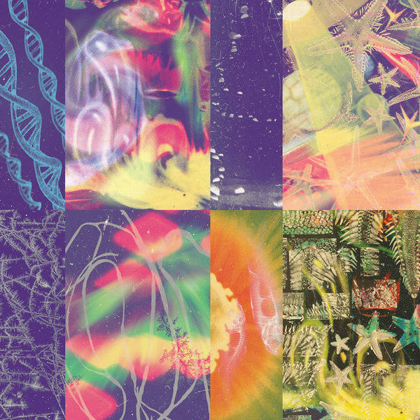 Nap Eyes – Neon Gate 🇺🇸