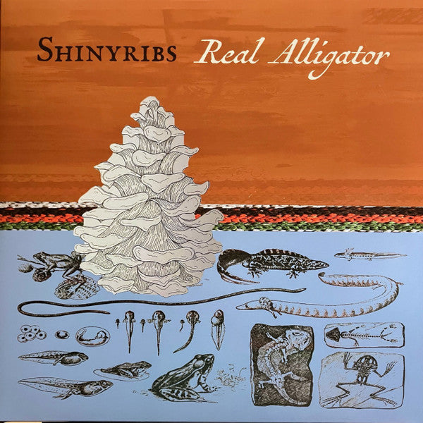 Shinyribs – Real Alligator (180G) 🇺🇸