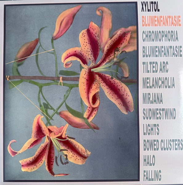 Xylitol – Blumenfantasie 🇺🇸