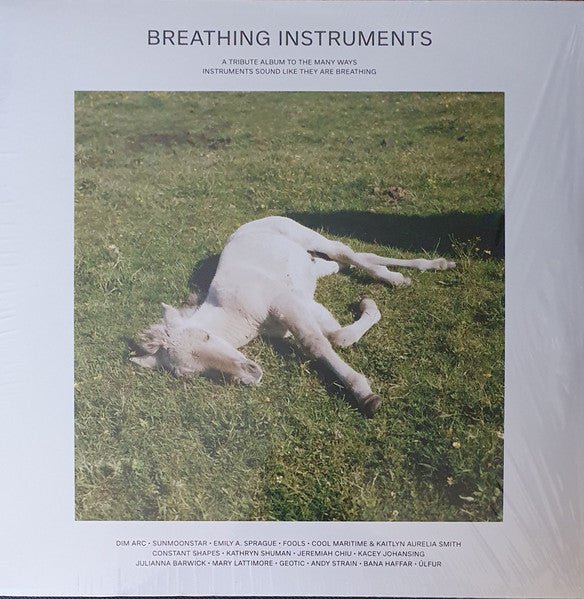 Various Artists – Breathing Instruments 🇺🇸