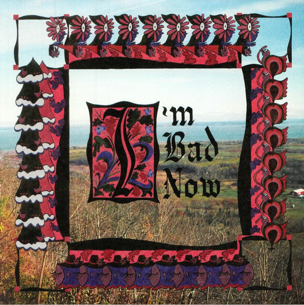 Nap Eyes – I'm Bad Now 🇺🇸