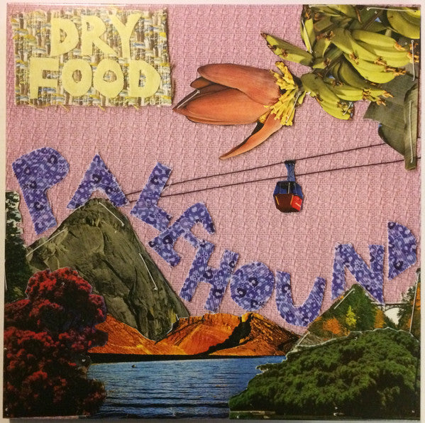 Palehound – Dry Food 🇺🇸