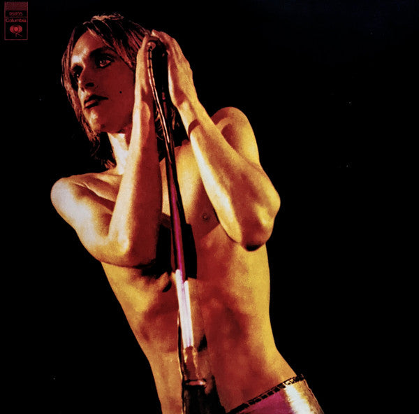 Iggy Pop & the Stooges – Raw Power (2LP) 🇺🇸