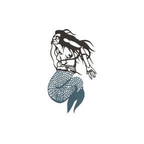 Okkervil River – Mermaid 🇺🇸