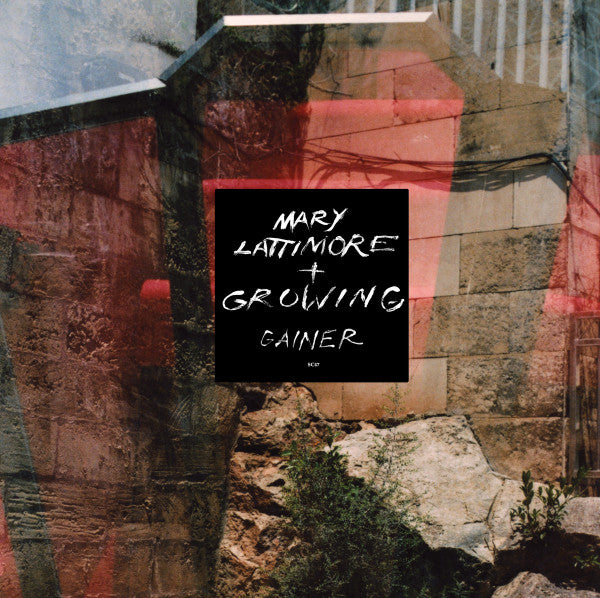 Mary & Growing Lattimore – Gainer 🇺🇸