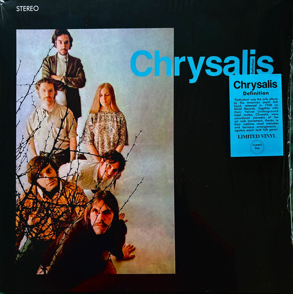 Chrysalis – Definition 🇺🇸