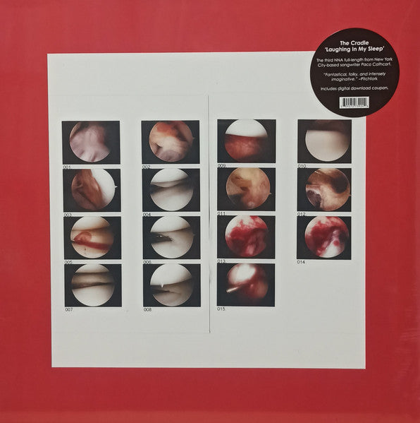 Cradle – Laughing in My Sleep (DL Card) 🇺🇸