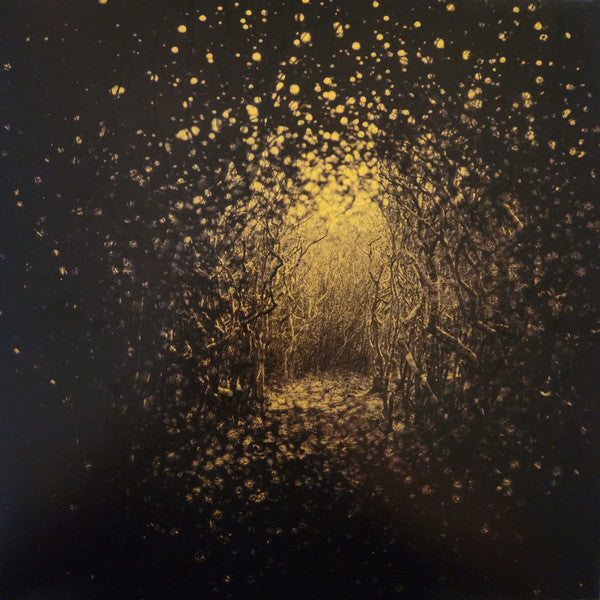 Antlers – Burst Apart (Lemonade Vinyl) 🇺🇸