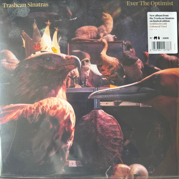 Trashcan Sinatras – Ever the Optimist (Gold Vinyl) 🇺🇸