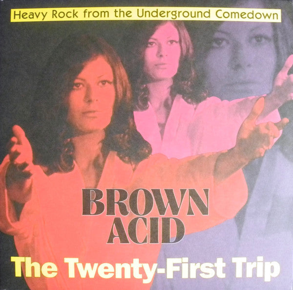 Various Artists – Brown Acid - the Twenty-first Trip 🇺🇸