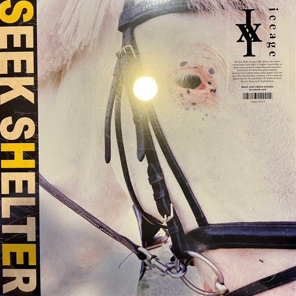 Iceage – Seek Shelter 🇺🇸