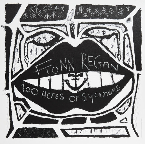 Fionn Regan – 100 Acres of Sycamore 🇺🇸