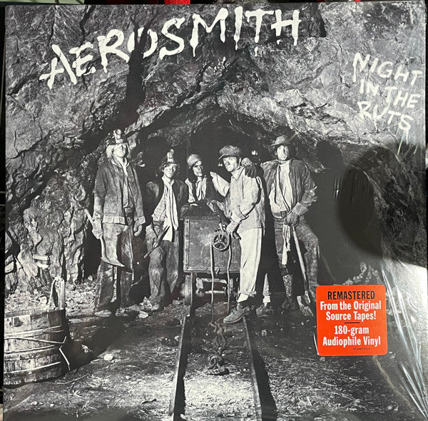 Aerosmith – Night in the Ruts 🇺🇸