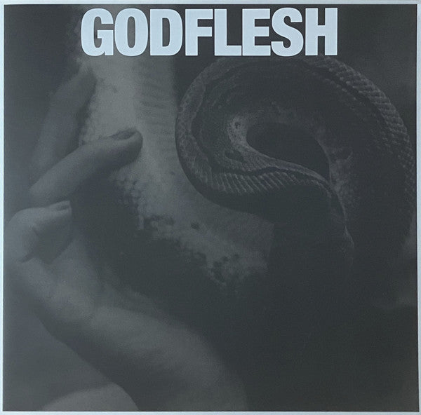 Godflesh – Purge 🇺🇸