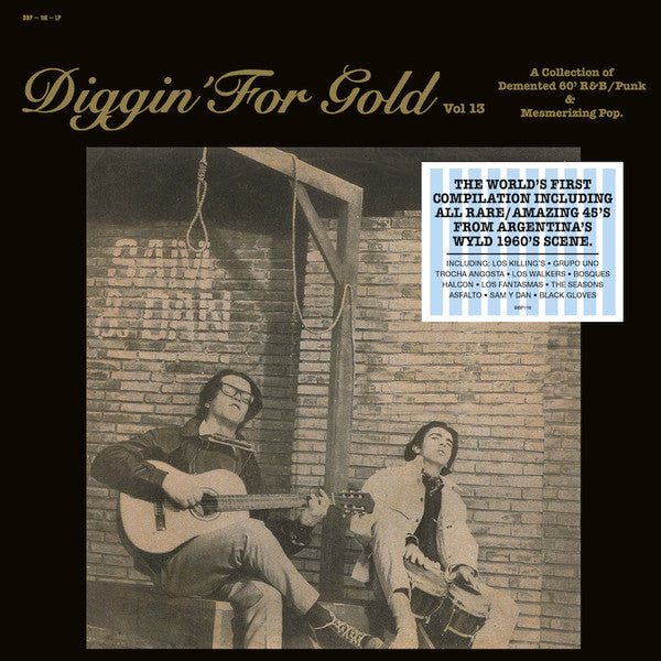 Various Artists – Diggin' for Gold VOL. 13 🇺🇸