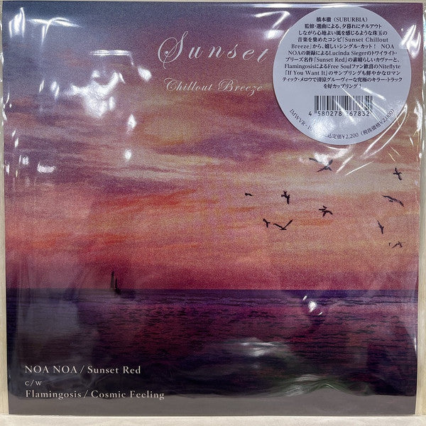 Noa Noa & Flamingosis – Sunset Red/cosmic Feeling 🇺🇸