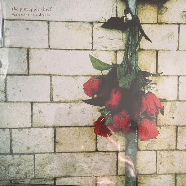 Pineapple Thief – Variations on a Dream 🇺🇸