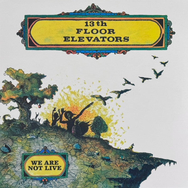 13TH Floor Elevators – We Are Not Live (RSD) 🇺🇸
