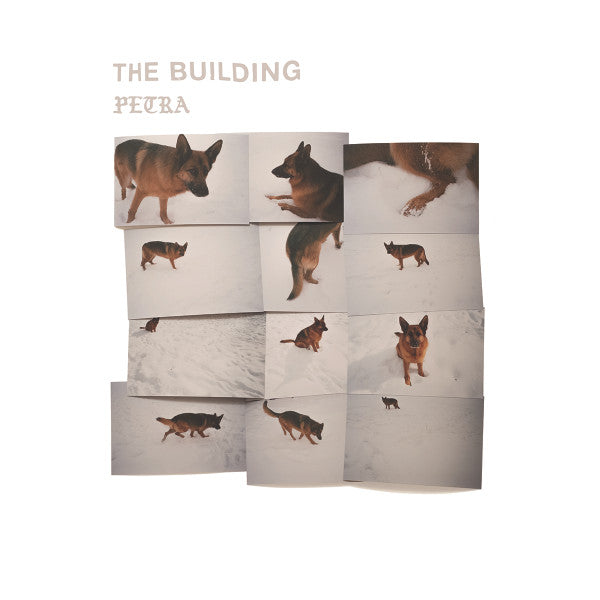 Building – Petra 🇺🇸