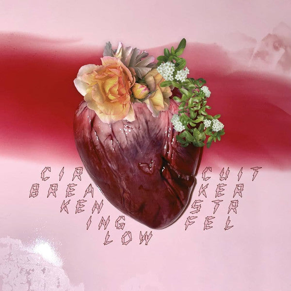 Ken Stringfellow – Circuit Breaker 🇺🇸