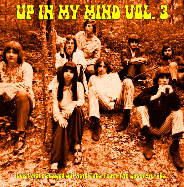 Various Artists – Up in My Mind Vol. 3: Even More Fuzzed Out Acid Tabs From the Lysergic '60S 🇺🇸