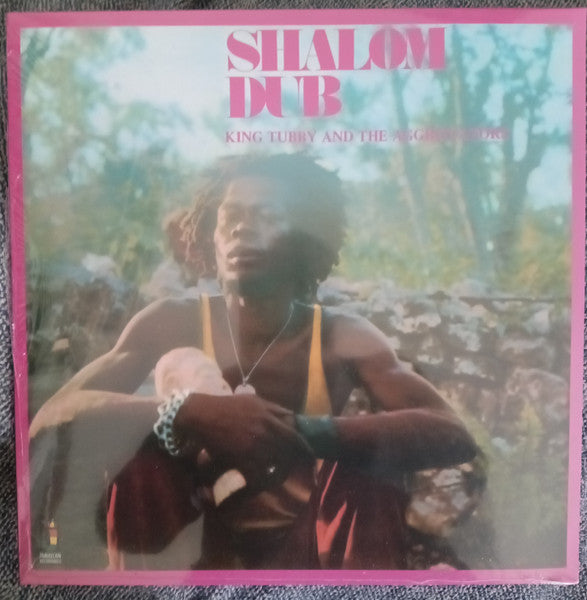 King Tubby & the Aggrovators – Shalom Dub 🇺🇸