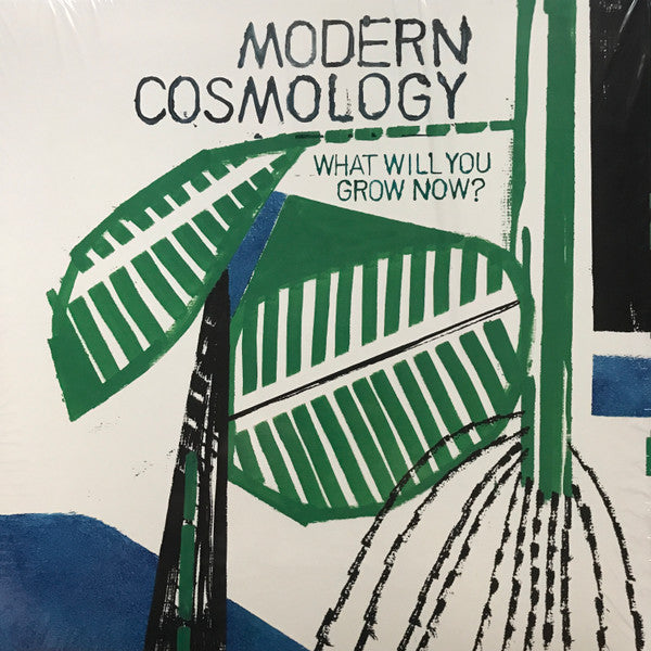 Modern Cosmology – What Will You Grow Now? (Import) 🇺🇸