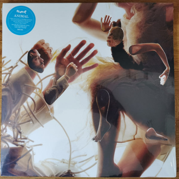 Lump Feat. Laura Marling & Mike Lindsay – Animal (Deluxe/180G) 🇺🇸