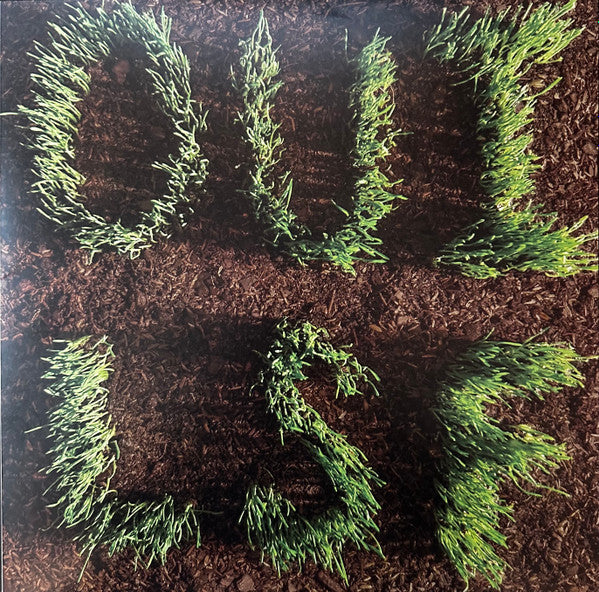 Les Savy Fav – Oui, Lsf (Bloodshot Vinyl) (I) 🇺🇸