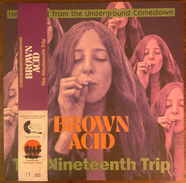 Various Artists – Brown Acid: the Nineteenth Trip 🇺🇸