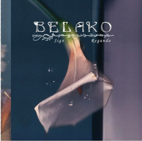 Belako – Sigo Regando (Clear Vinyl) 🇺🇸