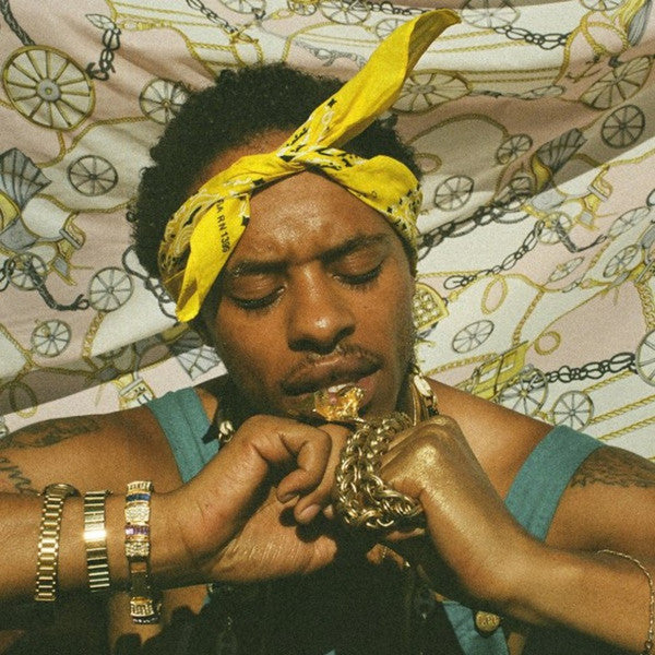 Pink Siifu – Ensley (2LP) 🇺🇸