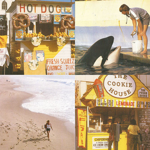 Best Coast – Something in the Way 🇺🇸