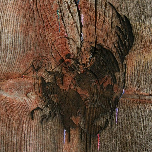 Avey Tare's Slasher Flicks – Enter the Slasher House (2LP/DL Card) 🇺🇸