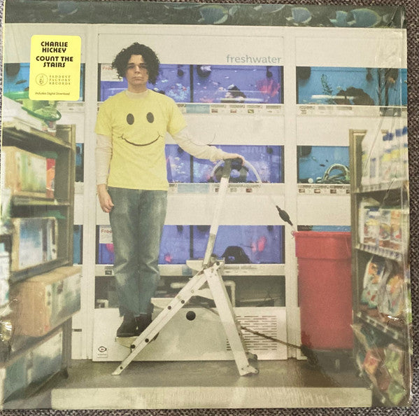 Charlie Hickey – Count the Stairs 🇺🇸