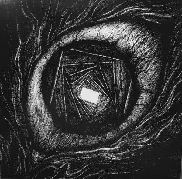 Carpe Noctem – Vitrun 🇺🇸