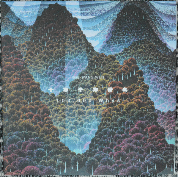 Wang Wen – 100,000 Whys (2LP) 🇺🇸