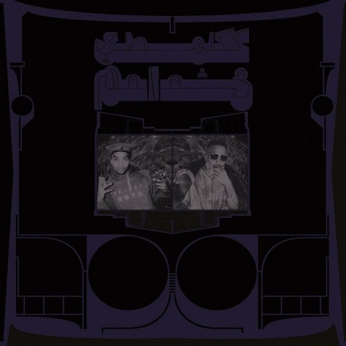 Shabazz Palaces – Exotic Birds of Prey (Translucent White Vinyl) 🇺🇸