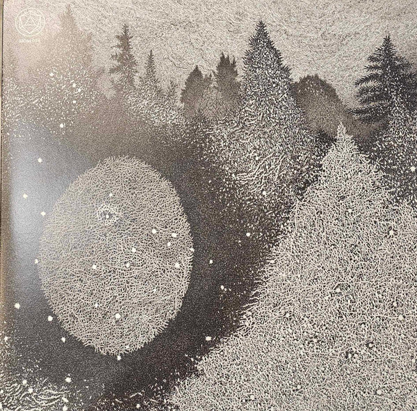 Alora Crucible – Oak Lace Apparition (2LP) 🇺🇸