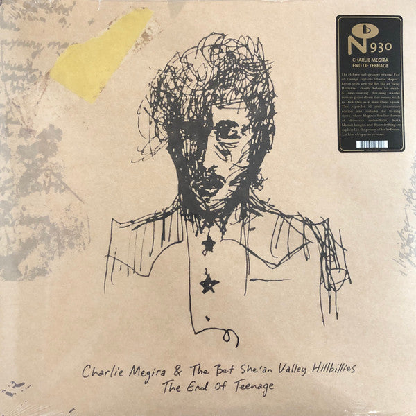 Charlie Megira – End of Teenage (2LP) 🇺🇸