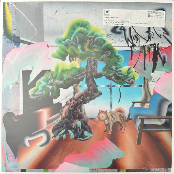Hakushi Hasegawa – Air Ni Ni (Marbled Gray Vinyl) 🇺🇸