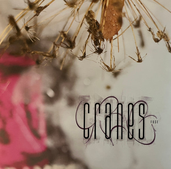 Cranes – Fuse 🇺🇸