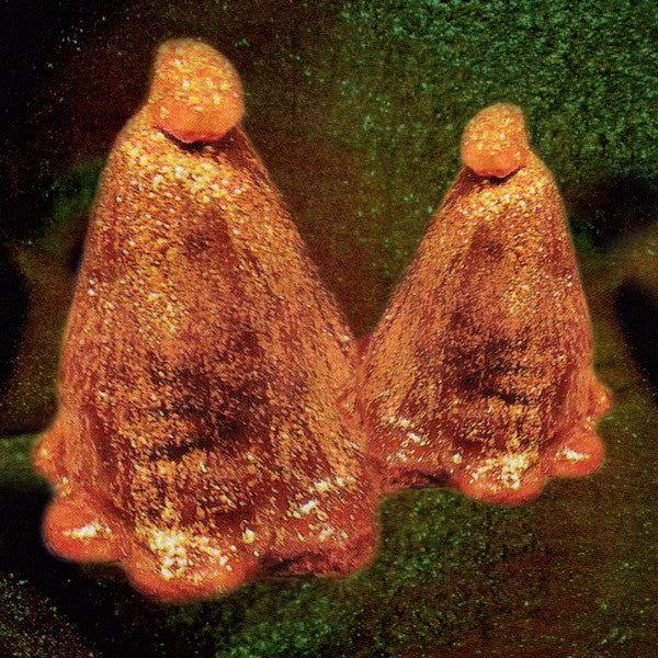 Black to Comm – Oocyte Oil & Stolen Androgens (Translucent Green Vinyl/DL Card) (I) 🇺🇸