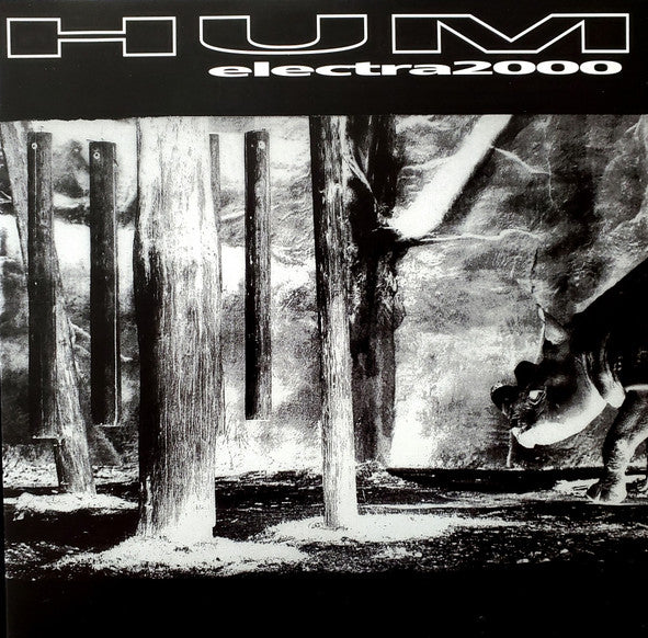 Hum – Electra 2000 (2LP) 🇺🇸